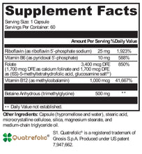 Load image into Gallery viewer, Resilience Health and Wellness, Methyl Shield