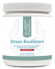 Load image into Gallery viewer, Resilience Health and Wellness, Stress Resilience